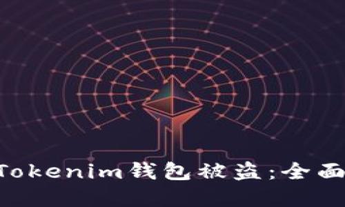 如何应对TokenTokenim钱包被盗：全面指南与解决方案