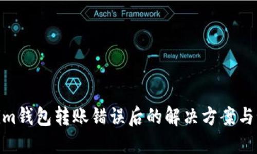 : Tokenim钱包转账错误后的解决方案与预防措施