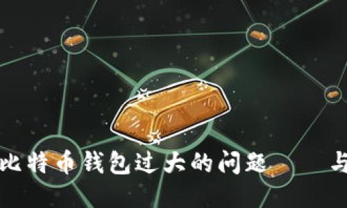 如何处理比特币钱包过大的问题——与管理指南
