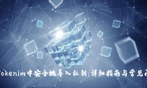如何在Tokenim中安全地导入私钥：详细指南与常见问题解答