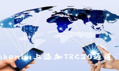 如何在Tokenim上添加TRC20通道：详细指南
