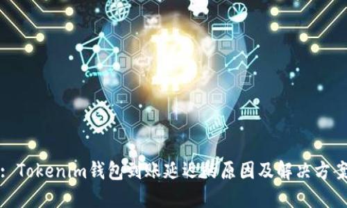 : Tokenim钱包到账延迟的原因及解决方案
