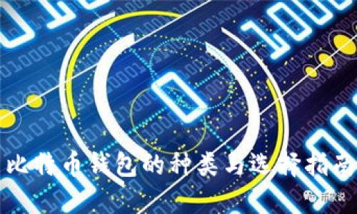比特币钱包的种类与选择指南