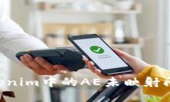 如何解决Tokenim中的AE未映