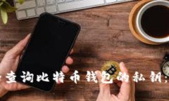 如何安全查询比特币钱包