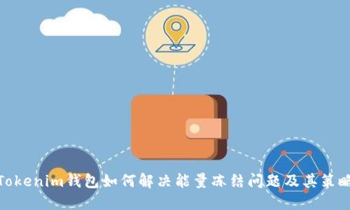 Tokenim钱包如何解决能量冻结问题及其策略