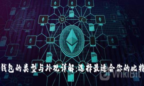 比特币钱包的类型与外观详解：选择最适合你的比特币钱包