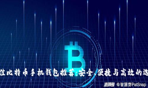 最佳比特币手机钱包推荐：安全、便捷与高效的选择