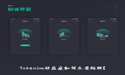 Tokenim被盗后如何立案处理？