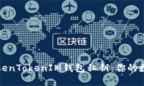 如何安全设置TokenTokenIM钱包私钥：你的数字资产安全指南