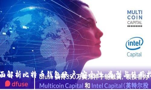 全面解析比特币钱包账户：安全性、类型与使用指南