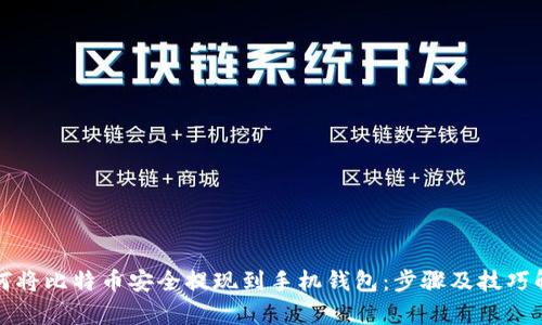 如何将比特币安全提现到手机钱包：步骤及技巧解析