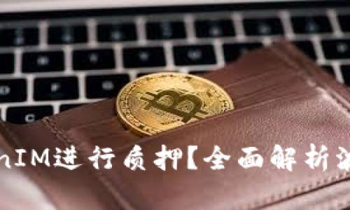 如何通过波卡TokenIM进行质押？全面解析波卡生态与收益潜力