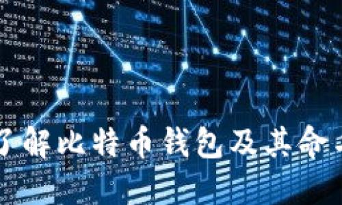 深入了解比特币钱包及其命名方式