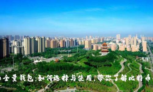 比特币全量钱包：如何选择与使用，带你了解比特币的世界