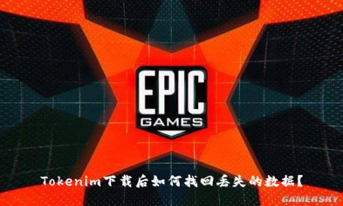 Tokenim下载后如何找回丢失的数据？