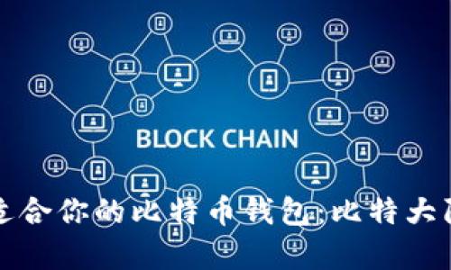 如何选择最适合你的比特币钱包：比特大陆的深度解析