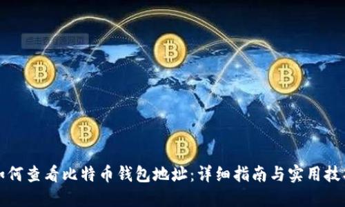 如何查看比特币钱包地址：详细指南与实用技巧