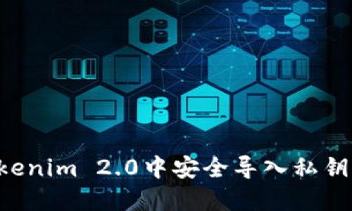 如何在Tokenim 2.0中安全导入私钥：完整指南