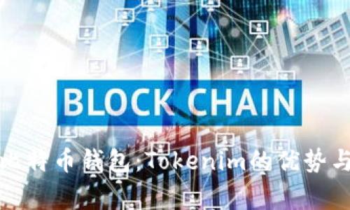 最常用的比特币钱包：Tokenim的优势与使用指南