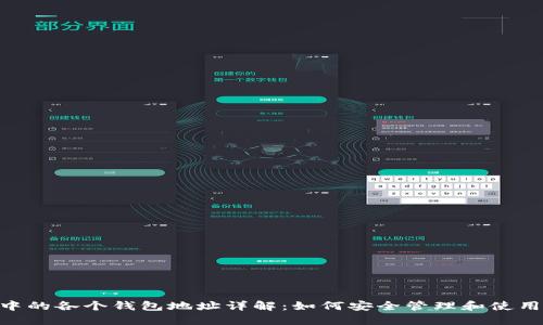 Tokenim中的各个钱包地址详解：如何安全管理和使用数字钱包