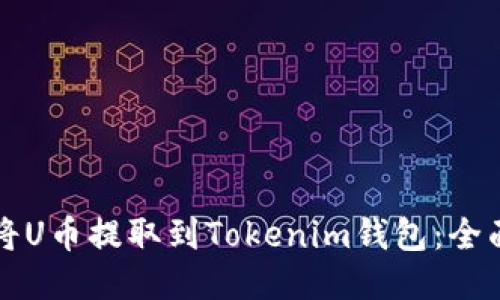 如何将U币提取到Tokenim钱包：全面指南