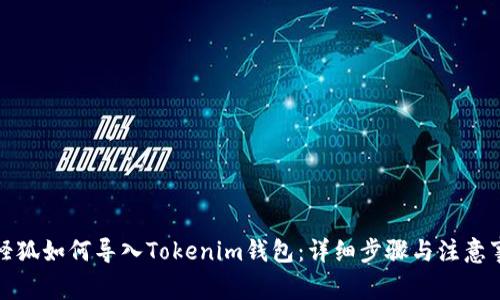 小怪狐如何导入Tokenim钱包：详细步骤与注意事项