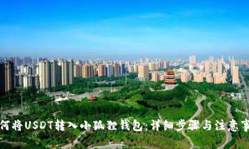 如何将USDT转入小狐狸钱包：详细步骤与注意事项