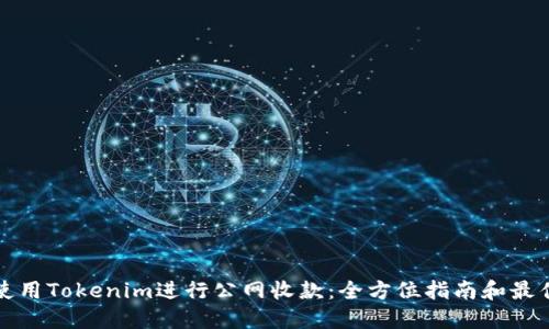 如何使用Tokenim进行公网收款：全方位指南和最佳实践
