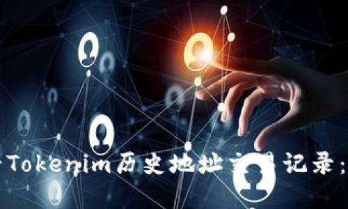 如何查看Tokenim历史地址交易记录：完整指南