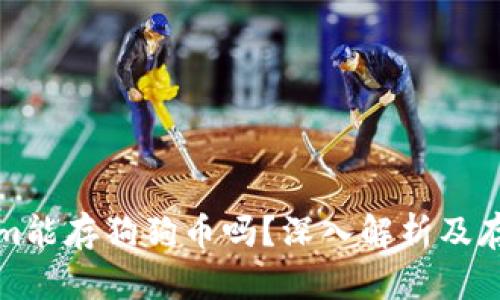 tokenim能存狗狗币吗？深入解析及存储指南