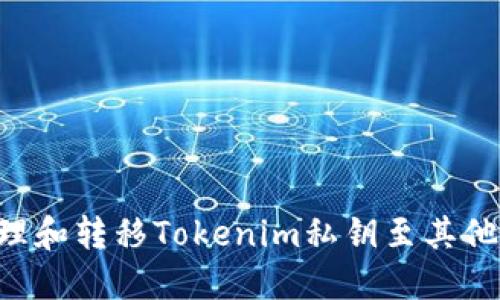 如何安全地管理和转移Tokenim私钥至其他钱包：实用指南