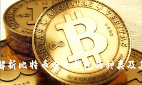 全面解析比特币电子钱包的种类及其特点