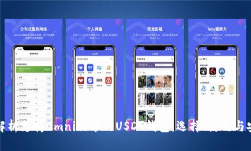 全面解析支持Omni版本的USDT钱包：选择、使用与安全性