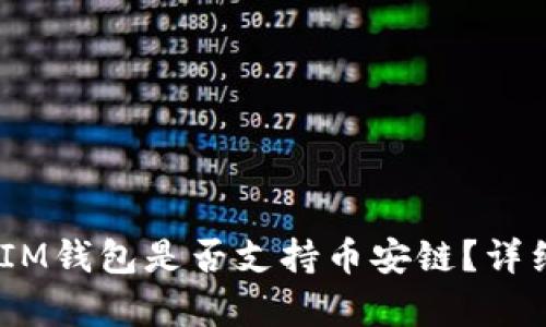 TokenTokenIM钱包是否支持币安链？详细分析与指南