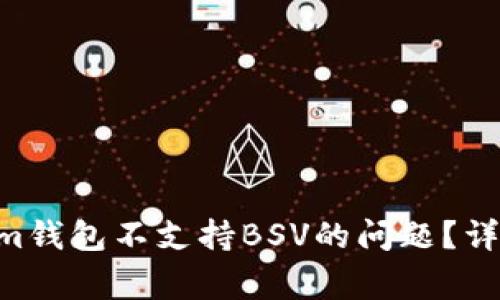 如何解决TokenTokenim钱包不支持BSV的问题？详尽指南与常见问题解答