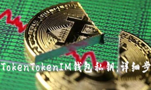 如何安全备份TokenTokenIM钱包私钥：详细步骤与注意事项