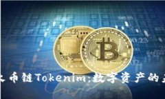 全面解析火币链Tokenim：数