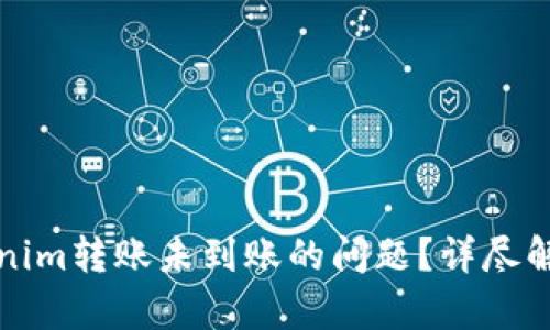 如何解决tokenim转账未到账的问题？详尽解析与实用指南