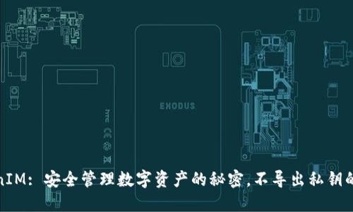 TokenIM: 安全管理数字资产的秘密，不导出私钥的优势