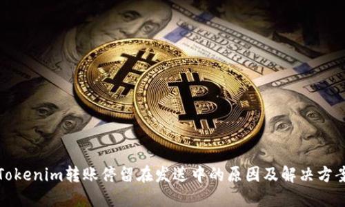 Tokenim转账停留在发送中的原因及解决方案