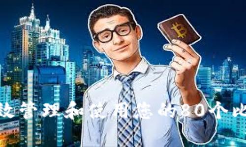 : 如何有效管理和使用您的80个比特币钱包