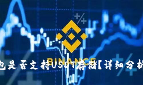 Tokenim钱包是否支持USDT存储？详细分析及使用指南