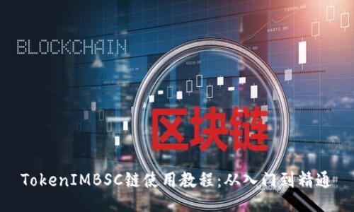 TokenIMBSC链使用教程：从入门到精通