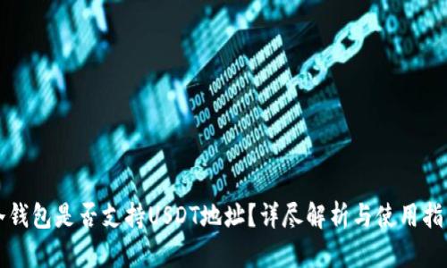 冷钱包是否支持USDT地址？详尽解析与使用指南