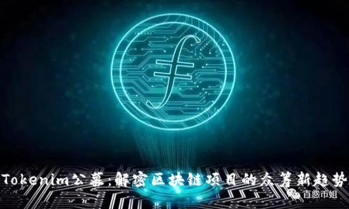 Tokenim公募：解密区块链项目的众筹新趋势