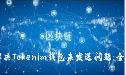 如何解决Tokenim钱包未发送问题：全面指南